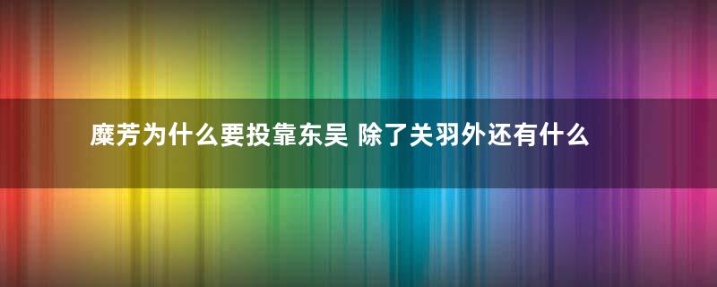 糜芳为什么要投靠东吴 除了关羽外还有什么原因